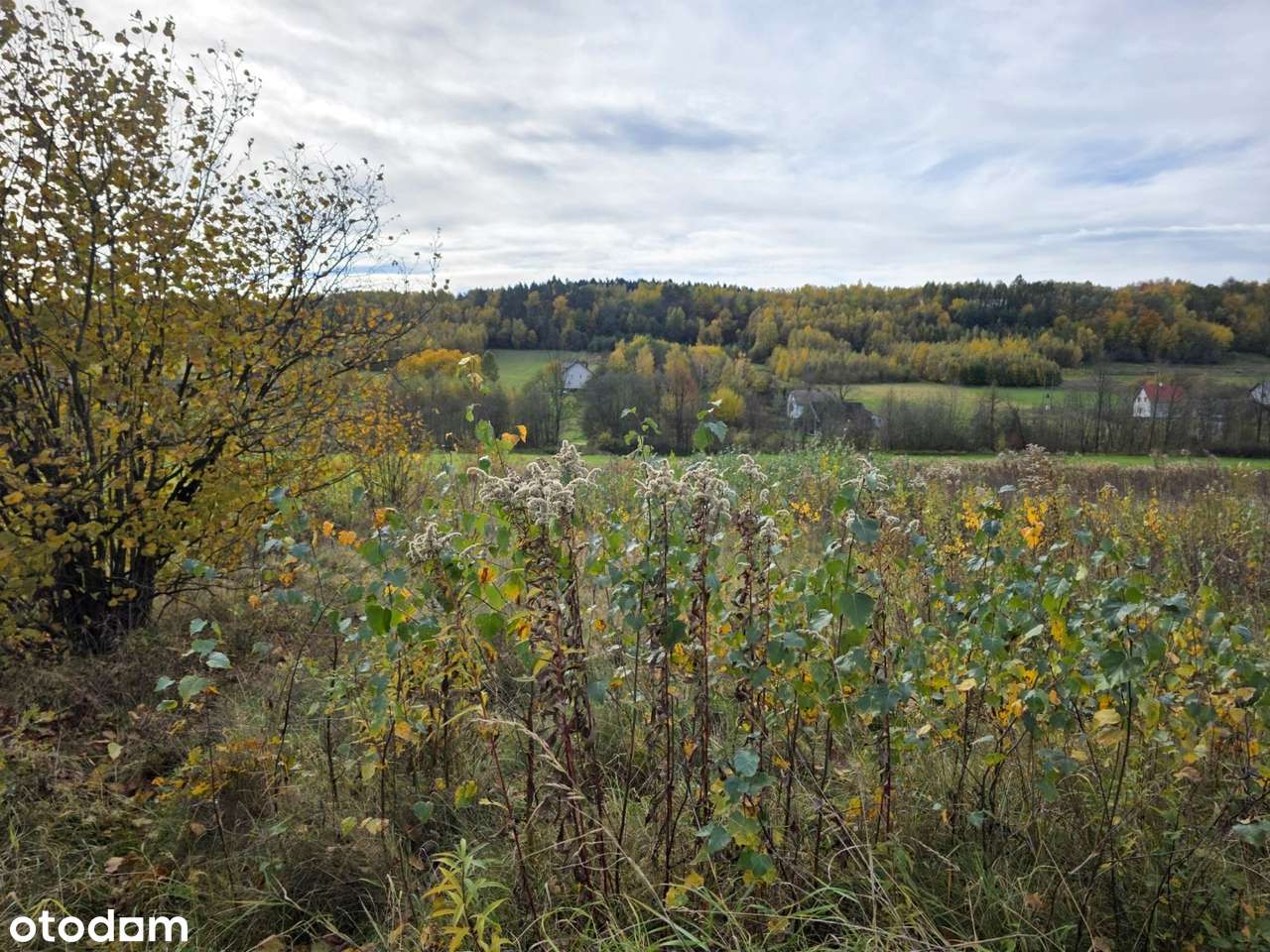Piękne widoki, cisza i spokój – działka 23 ary w Ołpinach-19