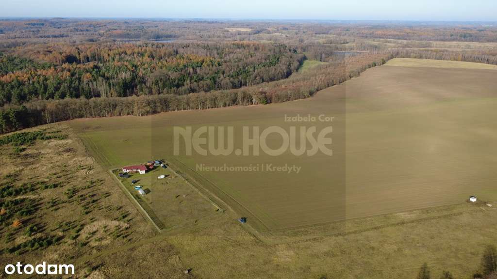 Unikatowe działki rolne Jezioro Ińsko - Pełny obrazek: 4/17