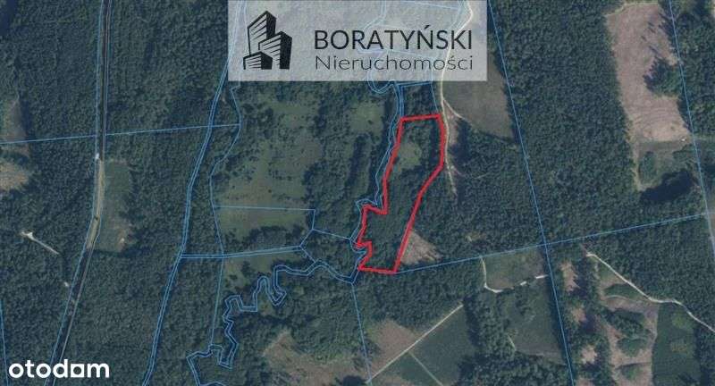 Działka z linią brzegową rzeki Grabowa-1