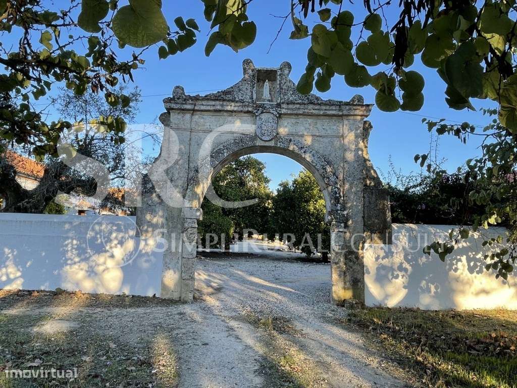 Herdade Histórica com 173 Hectares-22