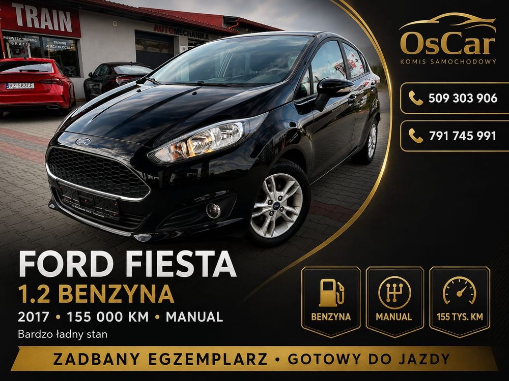 Ford Fiesta Mk7 1.25 Trend EU5 2017