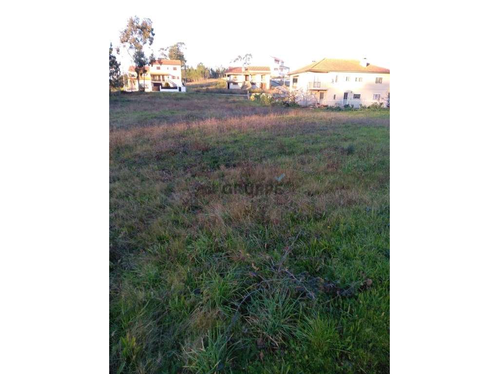 Lote de terreno com possibilidade de construção de 2 moradias-5