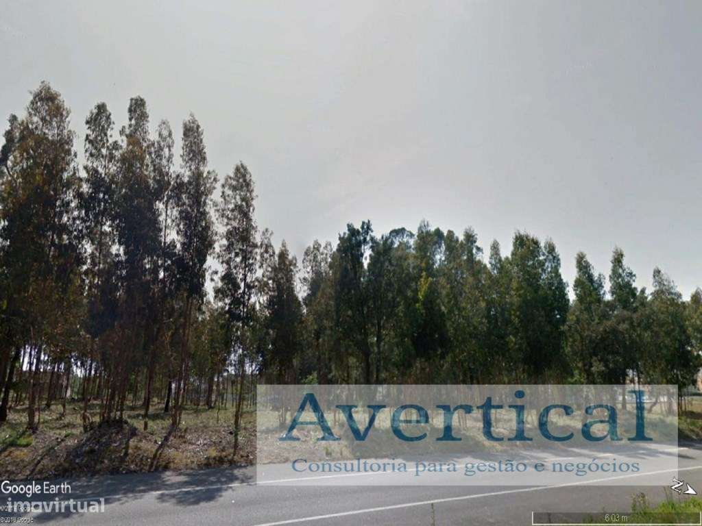 Armazéns - venda / arrenda-4