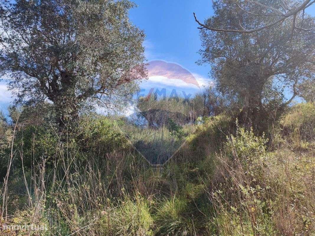 Terreno  para venda - Grande imagem: 4/7