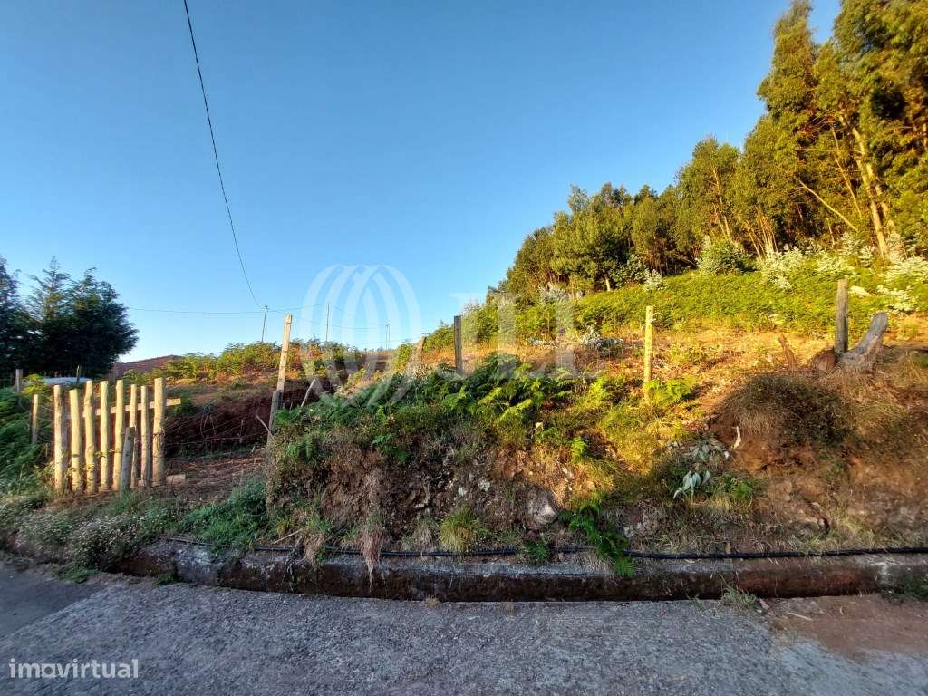 Terreno com projeto no Rochão, Camacha, Madeira - Grande imagem: 4/16