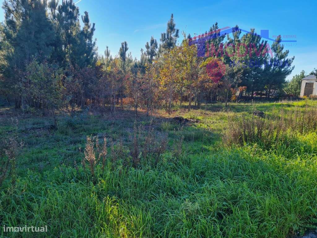 Terreno com possibilidade de construção em Pedrógão Grande - Grande imagem: 3/21