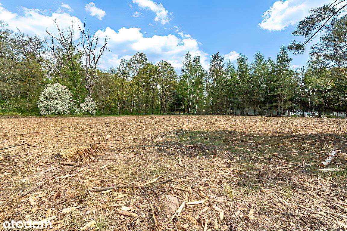 Wyjątkowy teren przy lesie I Idealne pod Twój dom I - Pełny obrazek: 5/11