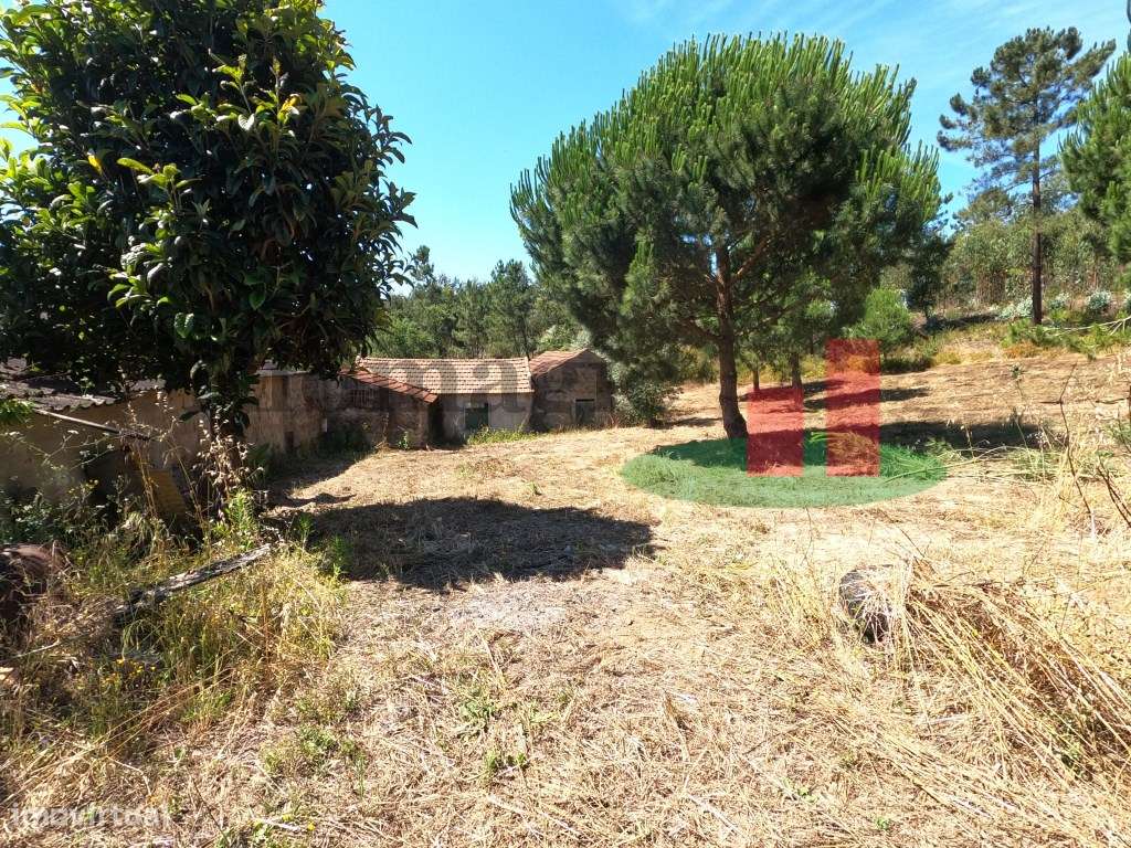 Quinta Rural - Rio Maior ***RIOMAGIC*** - Grande imagem: 4/60