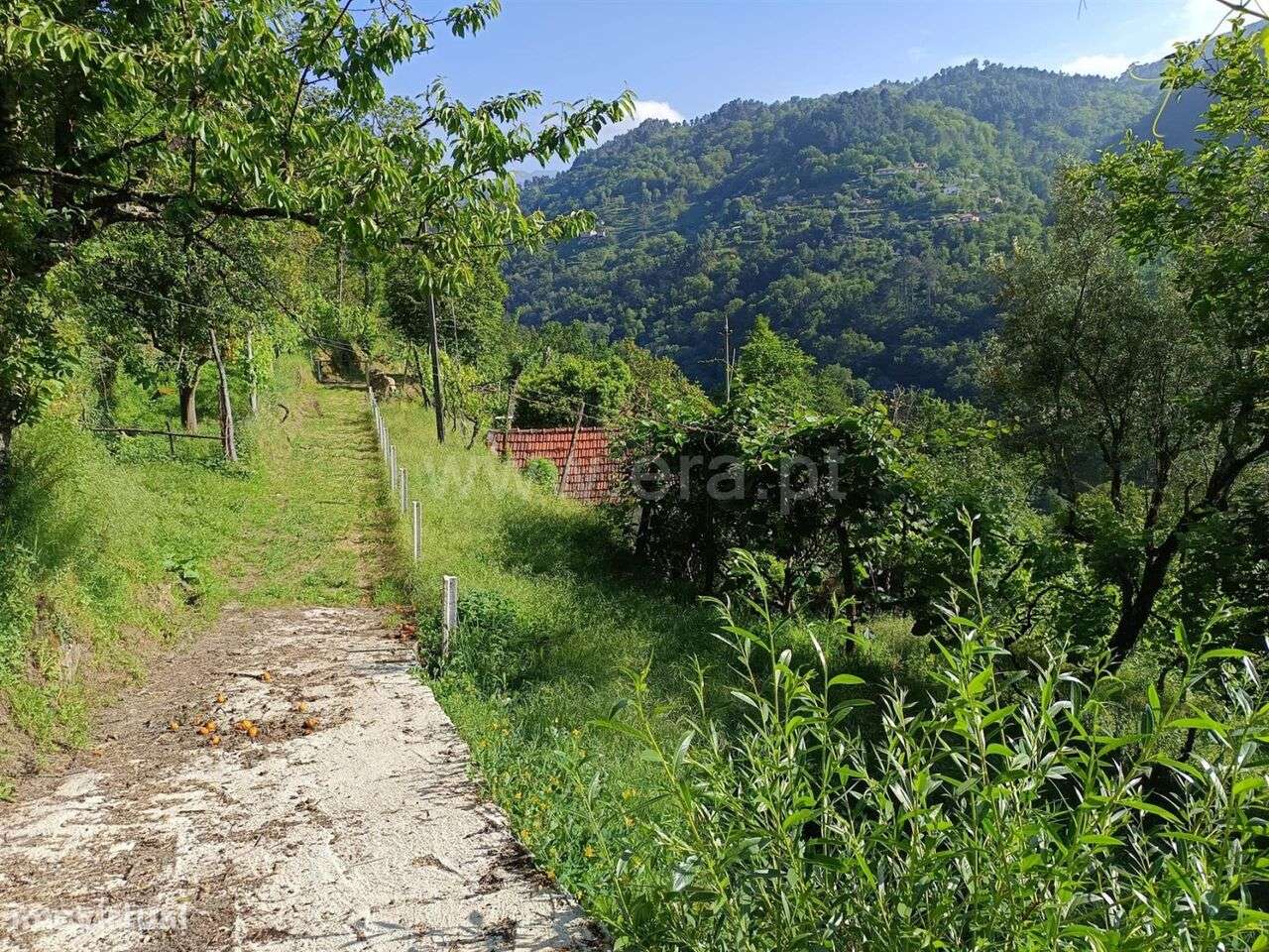 Moradia T1 / Cinfães, Ferreiros de Tendais-5