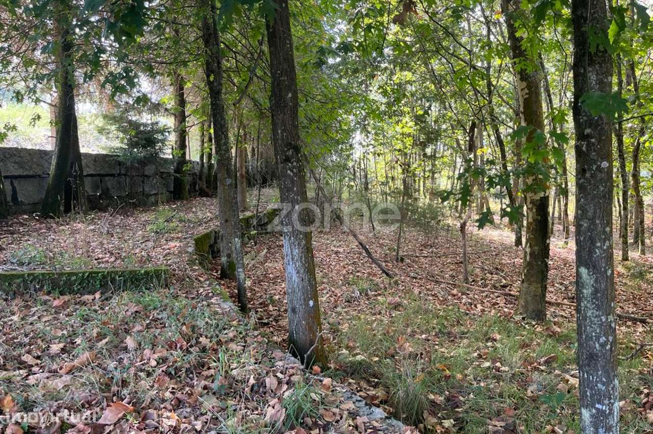 Terreno com 10 000M2 em, Sanfins, Paços de Ferreira - Grande imagem: 5/25