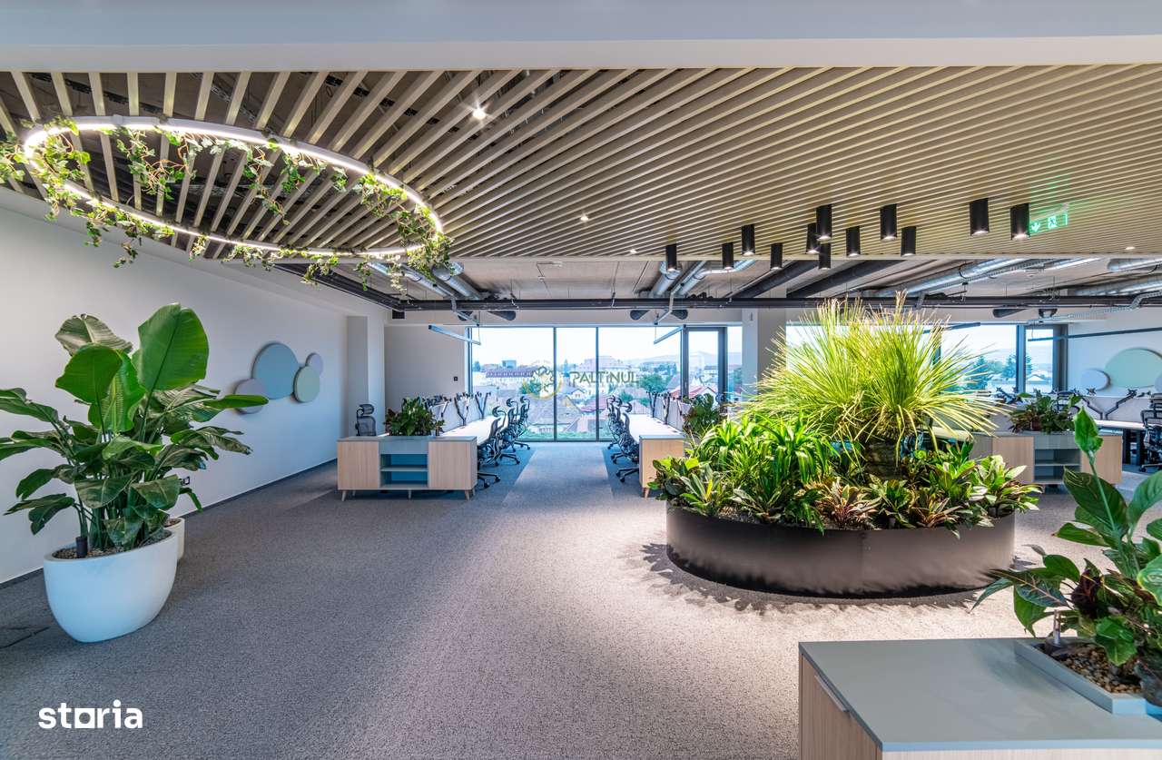 Spațiu birouri clasa A++ 220 mp de închiriat – central, Sibiu - Imagine principală: 2/11