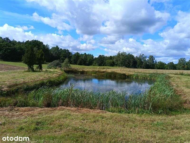 Gospodarstwo rolne - Mierzeszyn - Pełny obrazek: 5/14