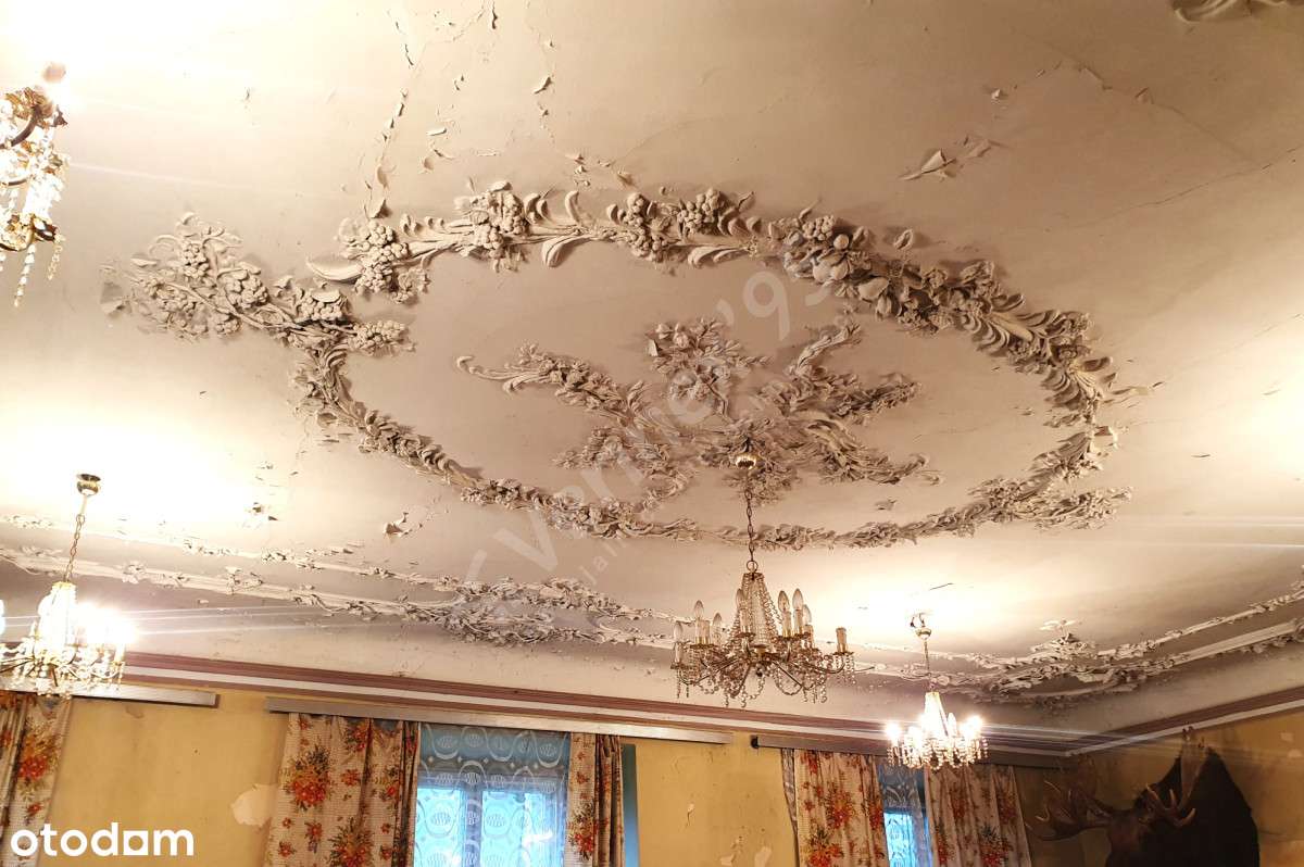 Zespół pałacowy(21ha) _ z DUŻYM terenem pod bud. mieszkaniowe(MPZP)-12