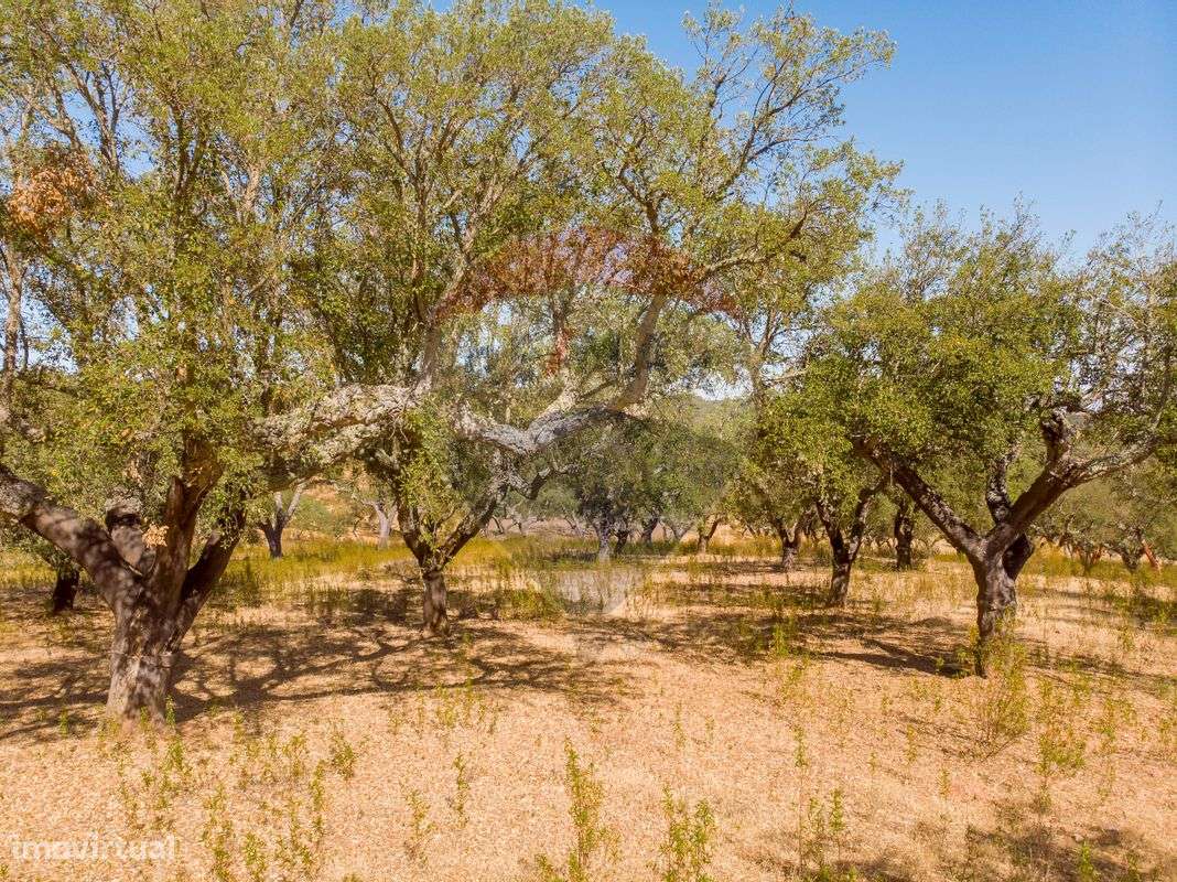 Terreno  para venda - Grande imagem: 5/8