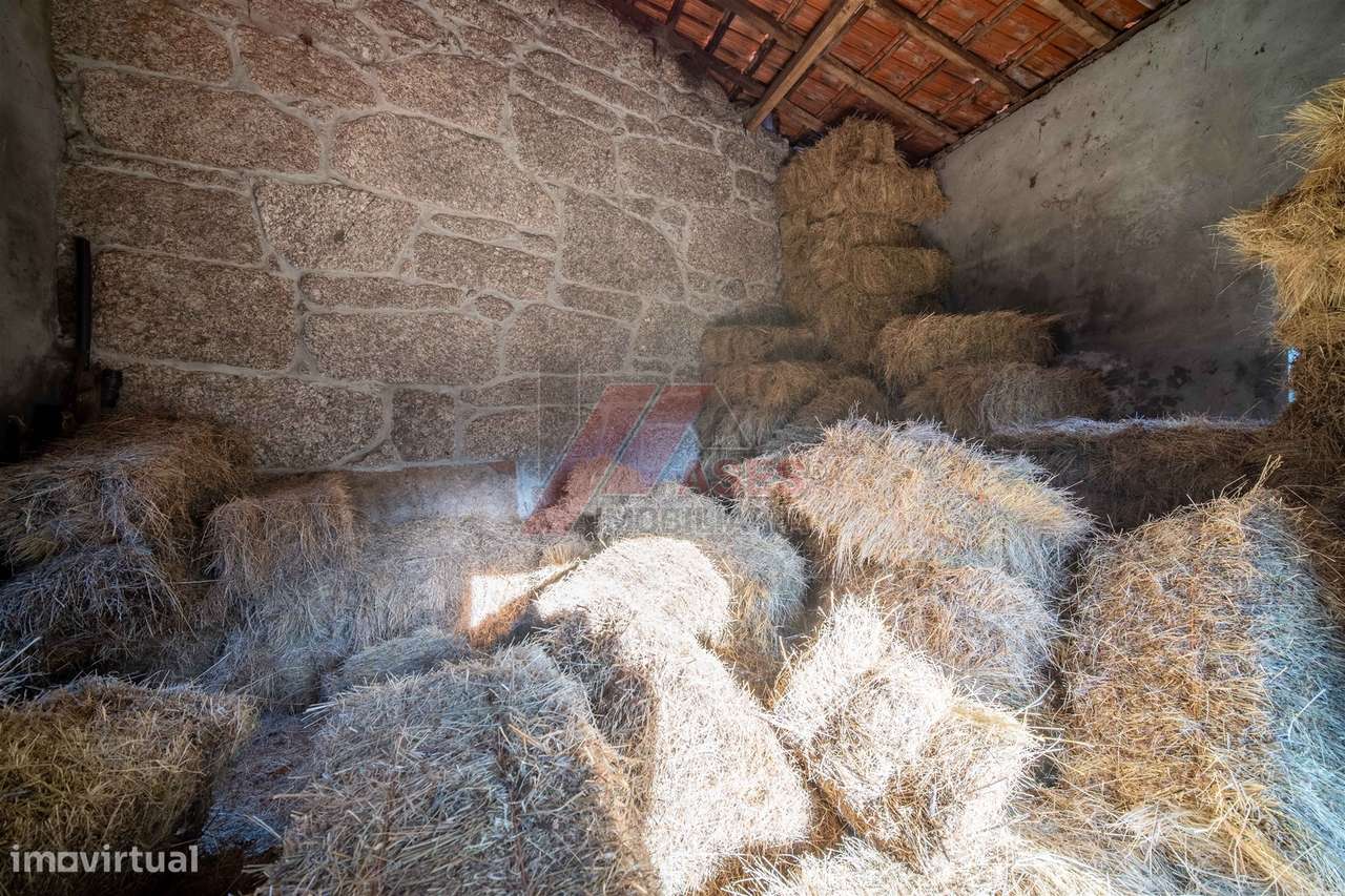QUINTA EM LAPELA - CABECEIRAS DE BASTO!-9