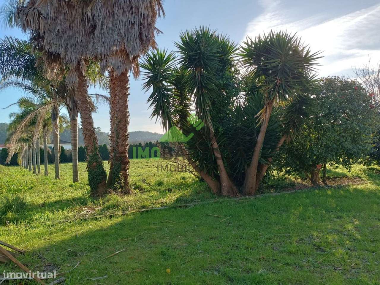 Quinta para restauro em Guisande (9066 m2)-20