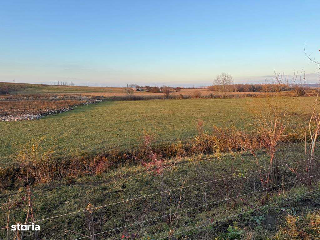 Vand teren, situat pe drumul Rusciorului langa pista de karting!-8