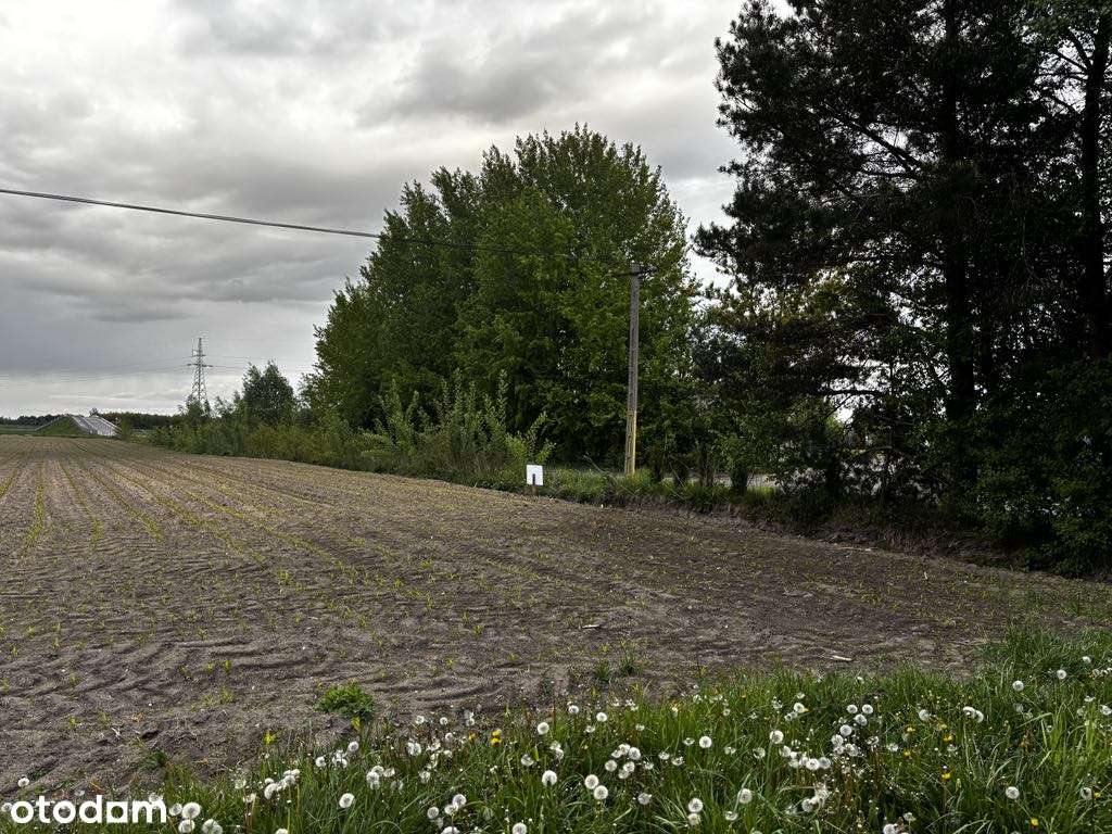 Działka rolna do przekształcenia przy S61 - Pełny obrazek: 3/10