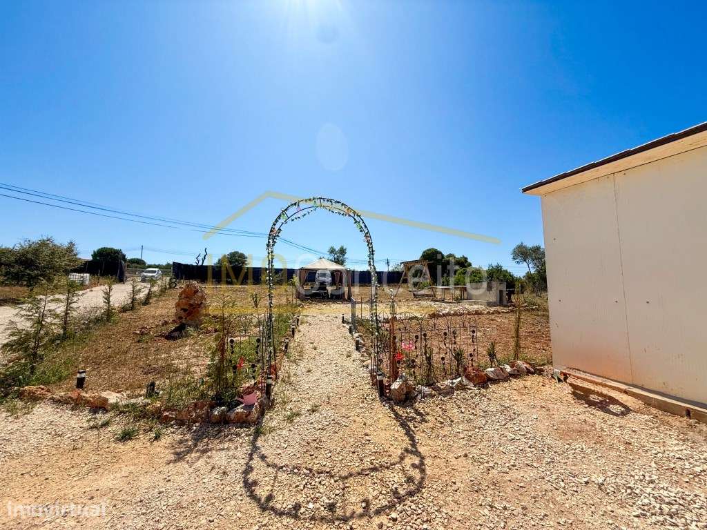 TERRENO RÚSTICO || ALMOSTER || SANTARÉM - Grande imagem: 4/11