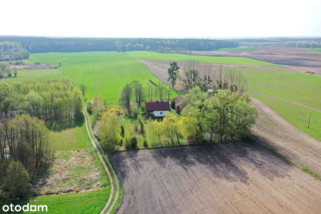 Natura, cisza, kameralność, śpiew ptaków - Pełny obrazek: 4/15