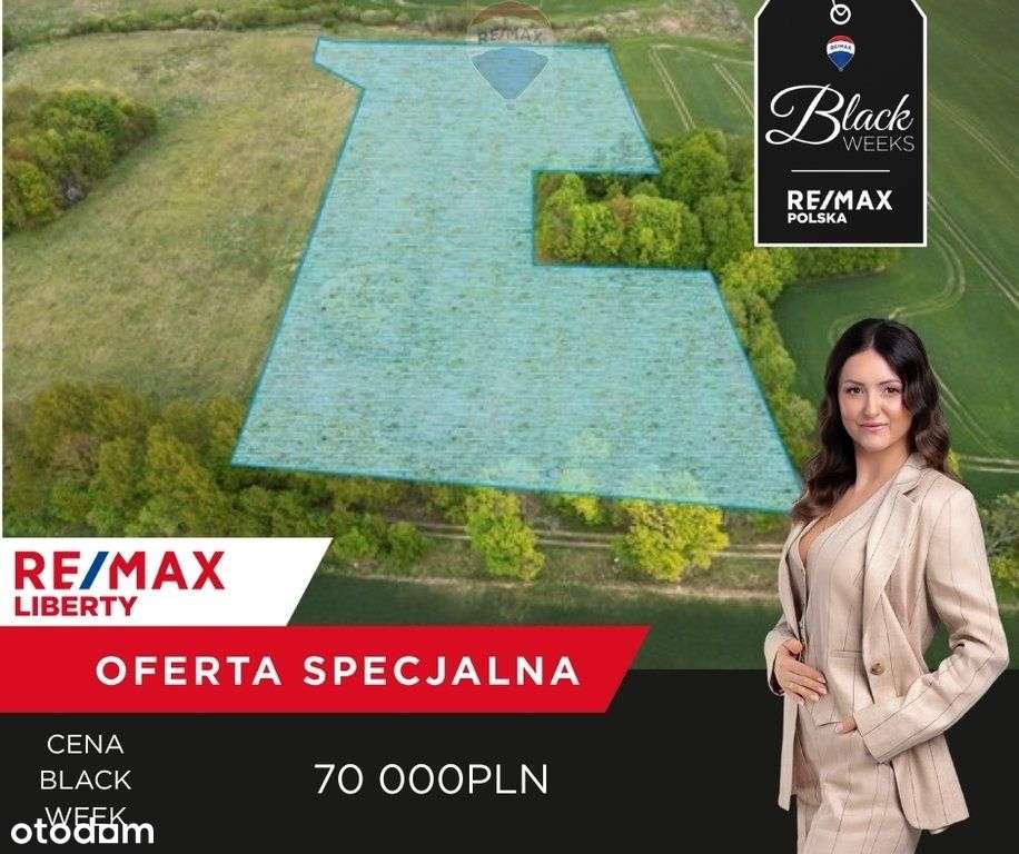 Ziemia rolna na sprzedaż – Dębnik k. Reszla - Pełny obrazek: 1/10