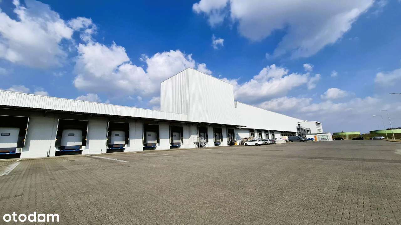 Hala magazynowa |10 000 m2| najtaniej w Poznaniu - Pełny obrazek: 4/17