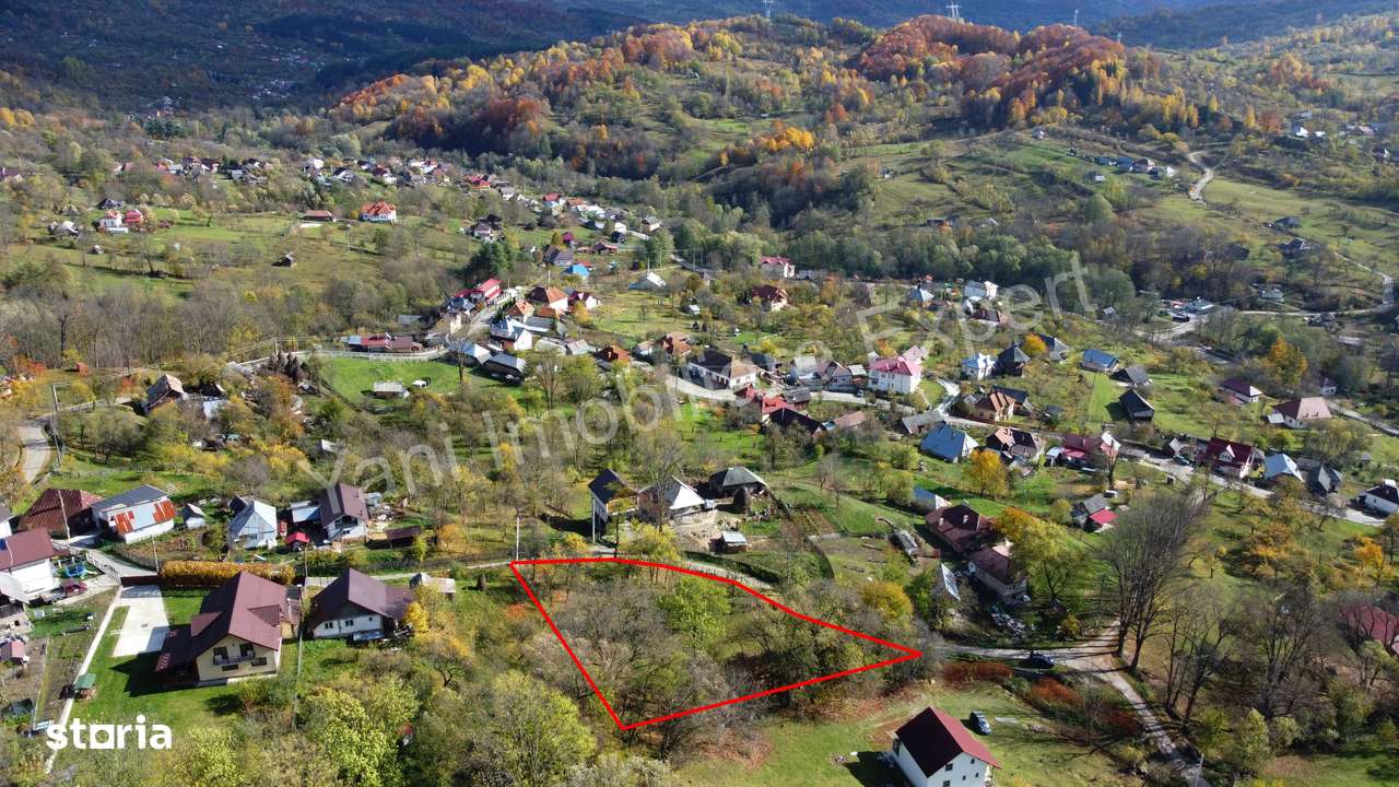 Teren de vânzare în comuna Arefu, județ Argeș. - Imagine principală: 5/20