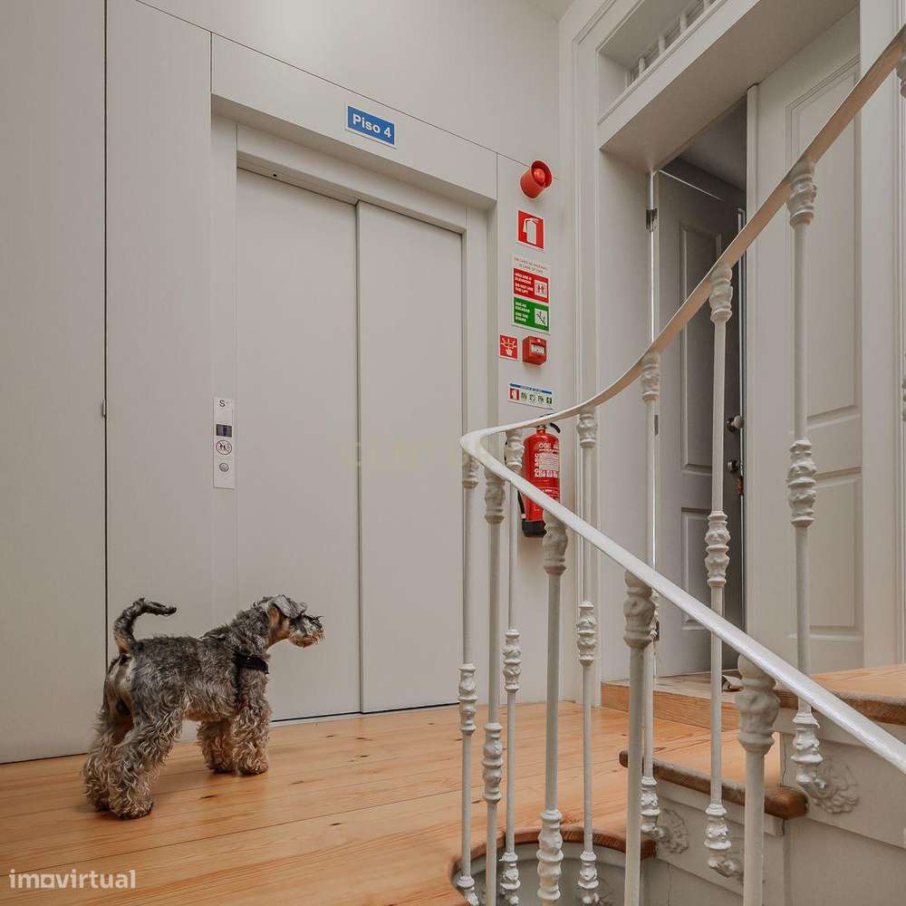 Apartamento T2 de Luxo com Varanda a Sul, Vista Rio e Prédio Totalment-21