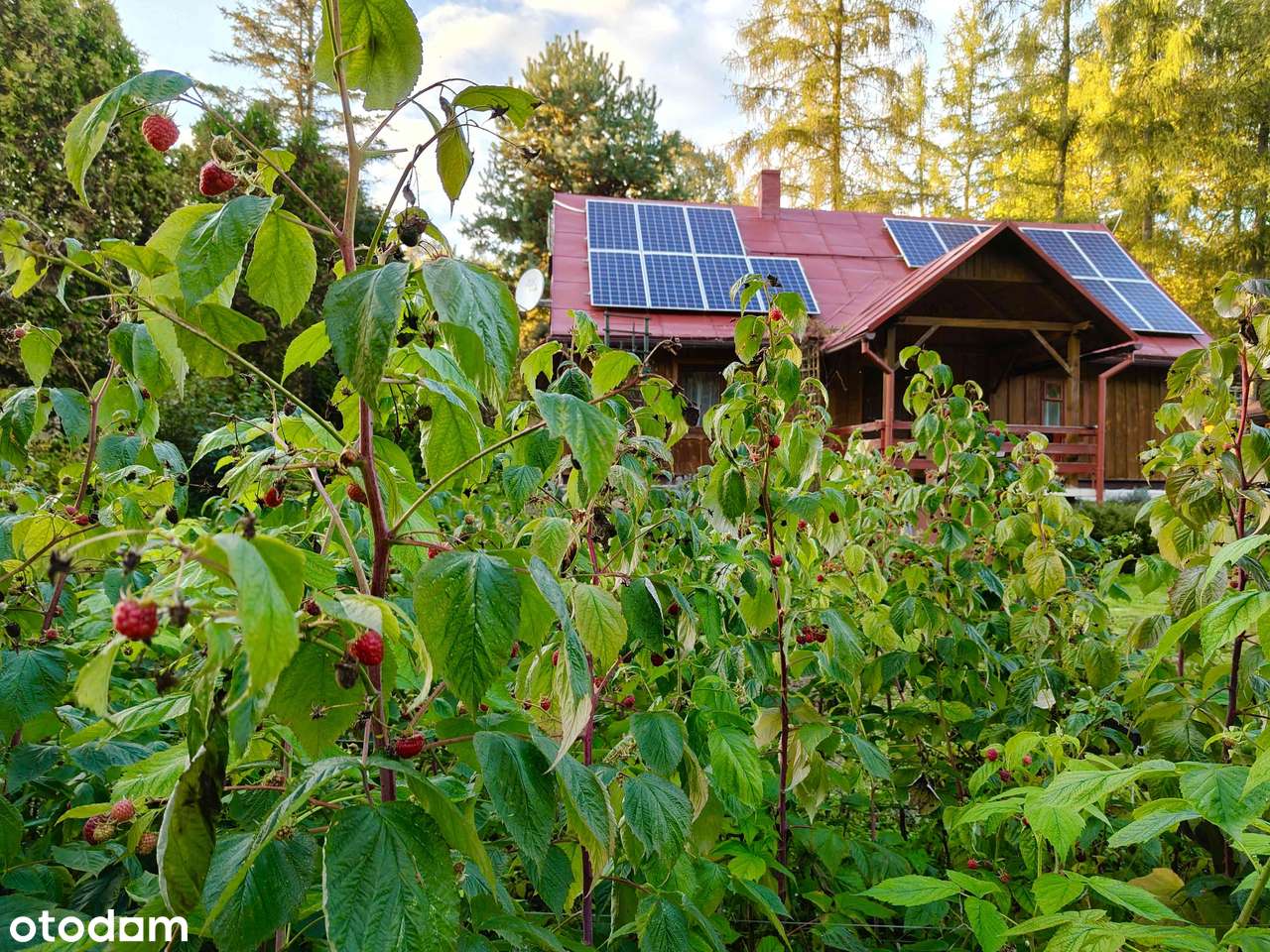 Dom do zamieszkania pod lasem, z dostępem do potoku!-17