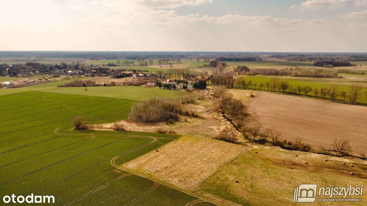 Maszewo-Jenikowo działka 2 ha - Vista 5