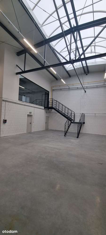 Nowa Hala przy S11 - Zakrzewo - Pełny obrazek: 4/13