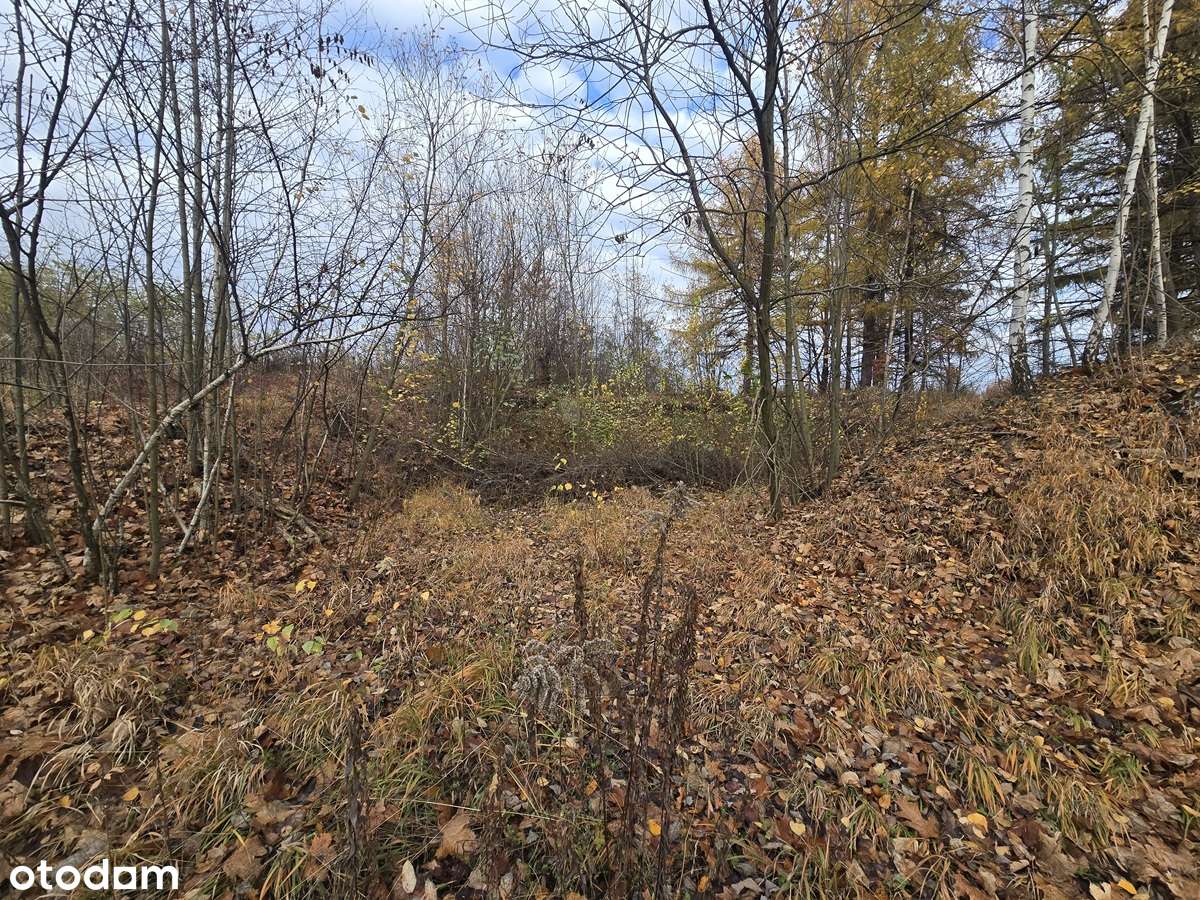 Brzękowice gm. Psary widokowa działka budowlana - Pełny obrazek: 4/6