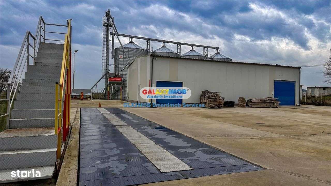 Siloz cu 880tone capacitate totala(4 celule) si| 1650mp teren - Imagine principală: 4/13