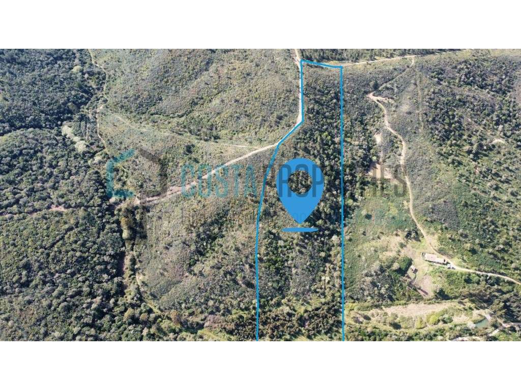 Terreno Rústico de 43.500 m² entre Aljezur e Monchique - Natureza e... - Grande imagem: 3/43