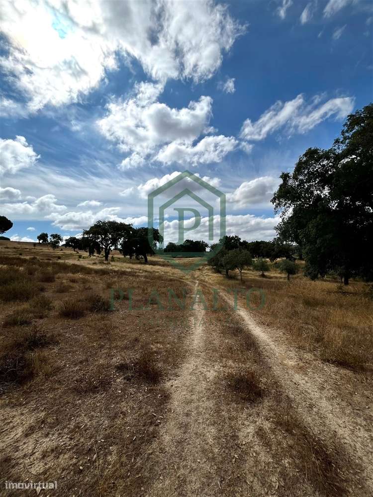 Quinta >=T10 Venda em Cortiçadas de Lavre e Lavre,Montemor-o-Novo-11