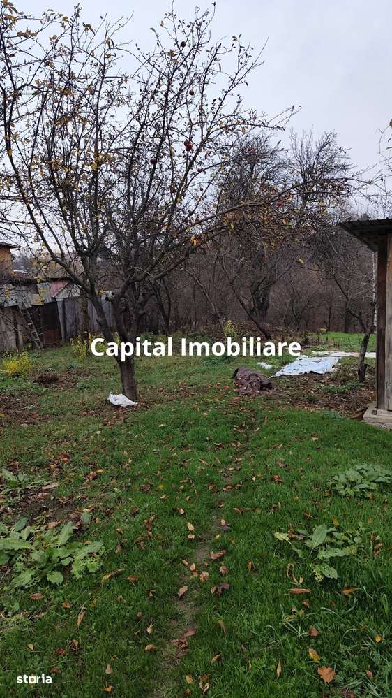 Casa Baicoi caramida 135 mp-11