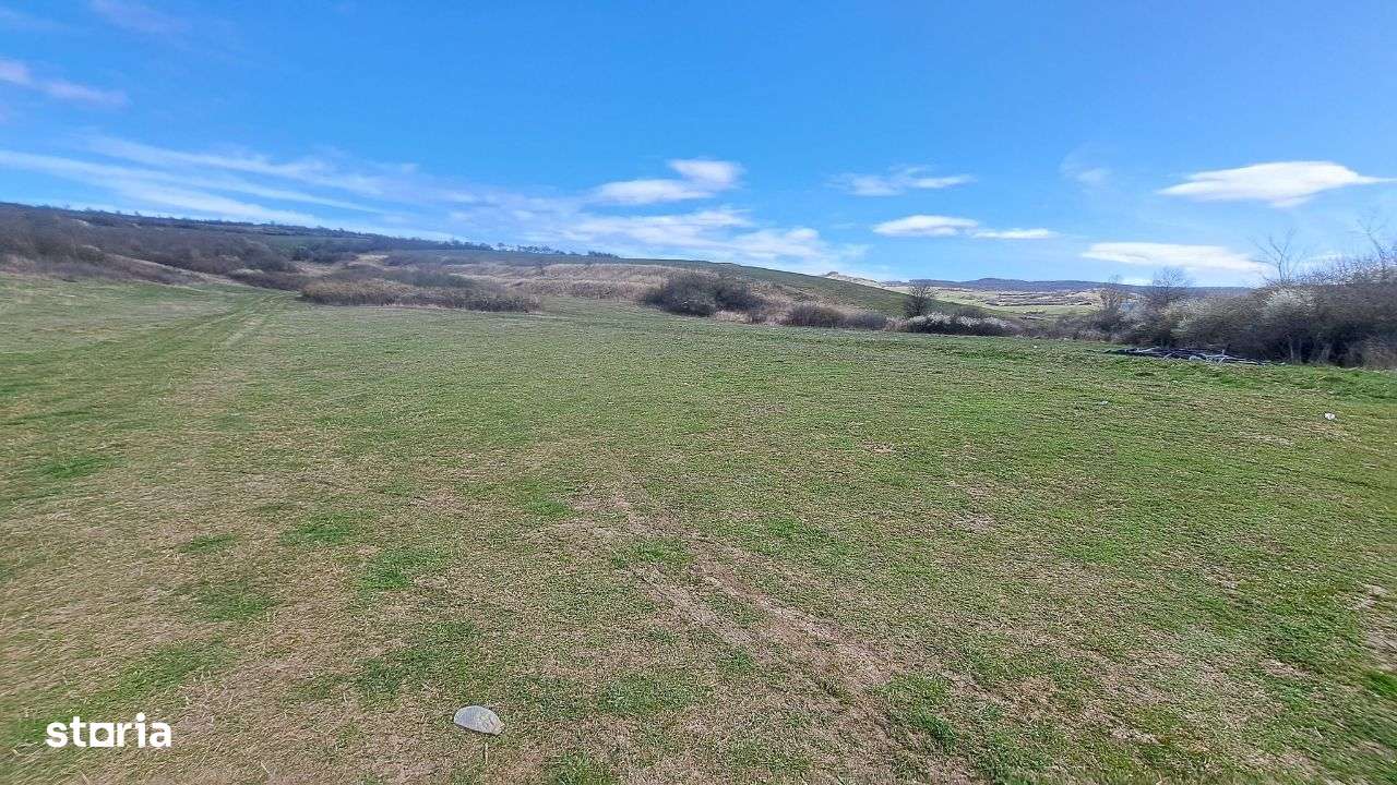 Teren, 10.400 mp lângă Autostrada A1 iesire loc Apoldu de Jos - Imagine principală: 5/7