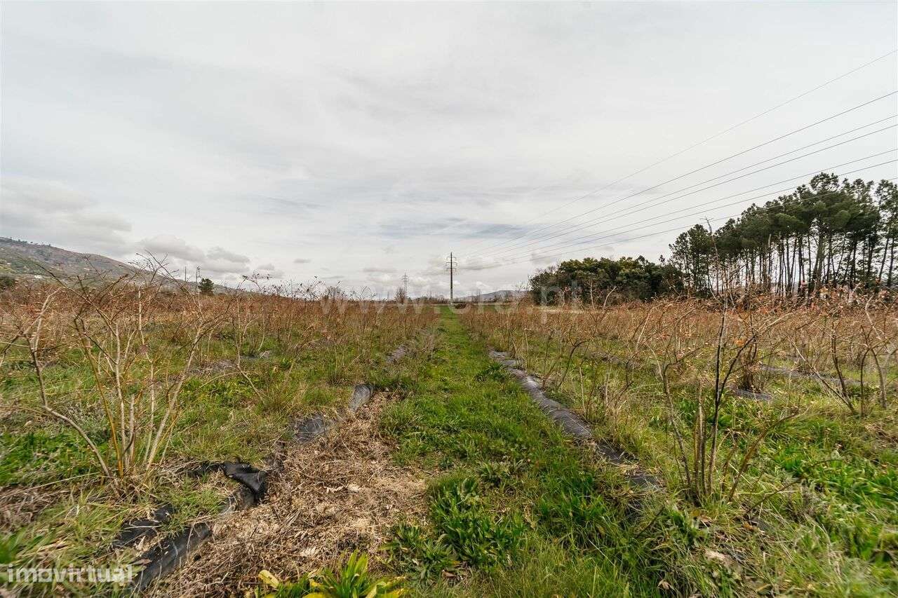 Terreno Rústico / Covilhã, Orjais - Grande imagem: 4/18