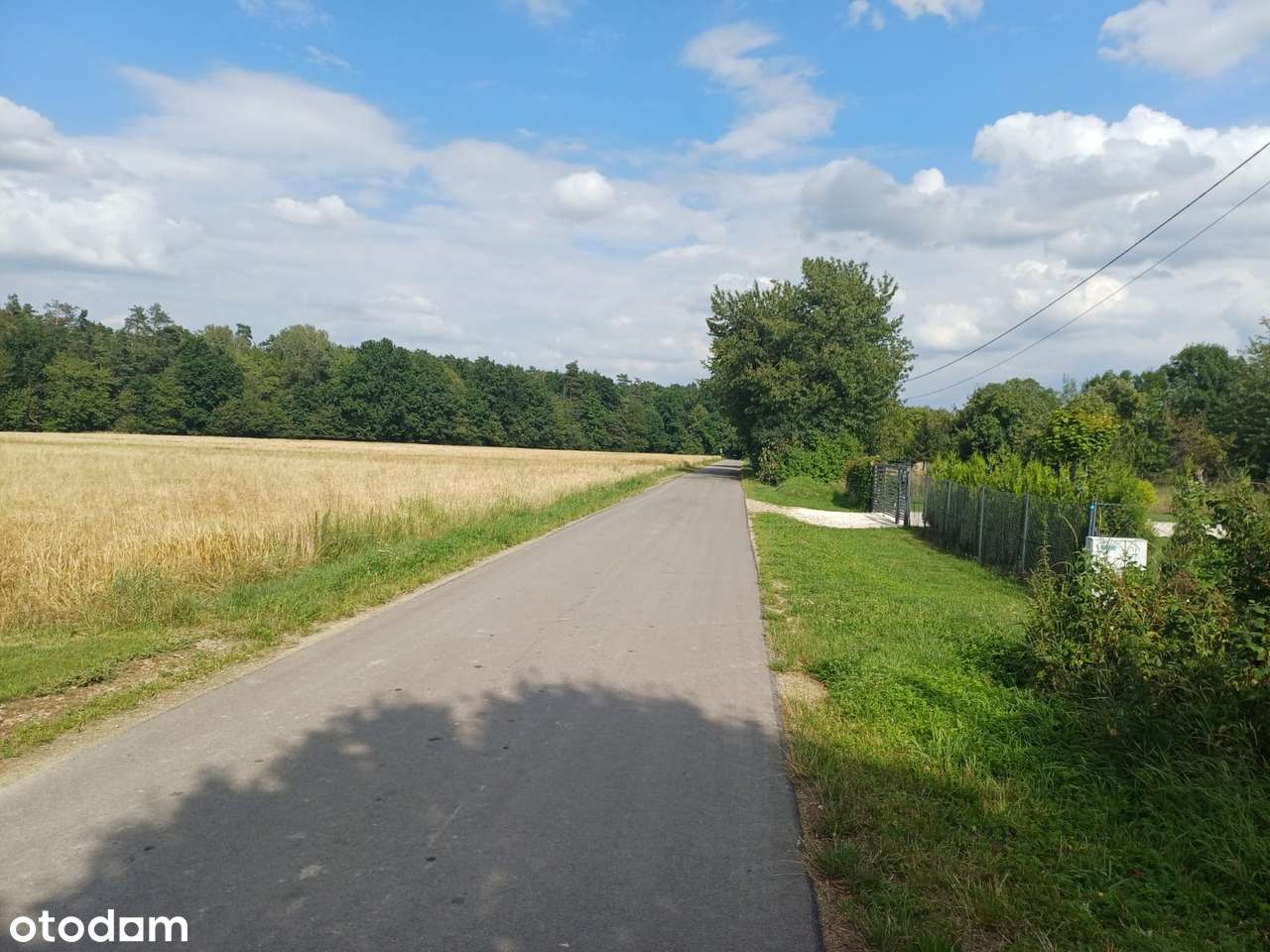 Sprzedam Działkę o pow 2398 m2 w miejscowosci Jabłonna Pierwsza. - Pełny obrazek: 5/10