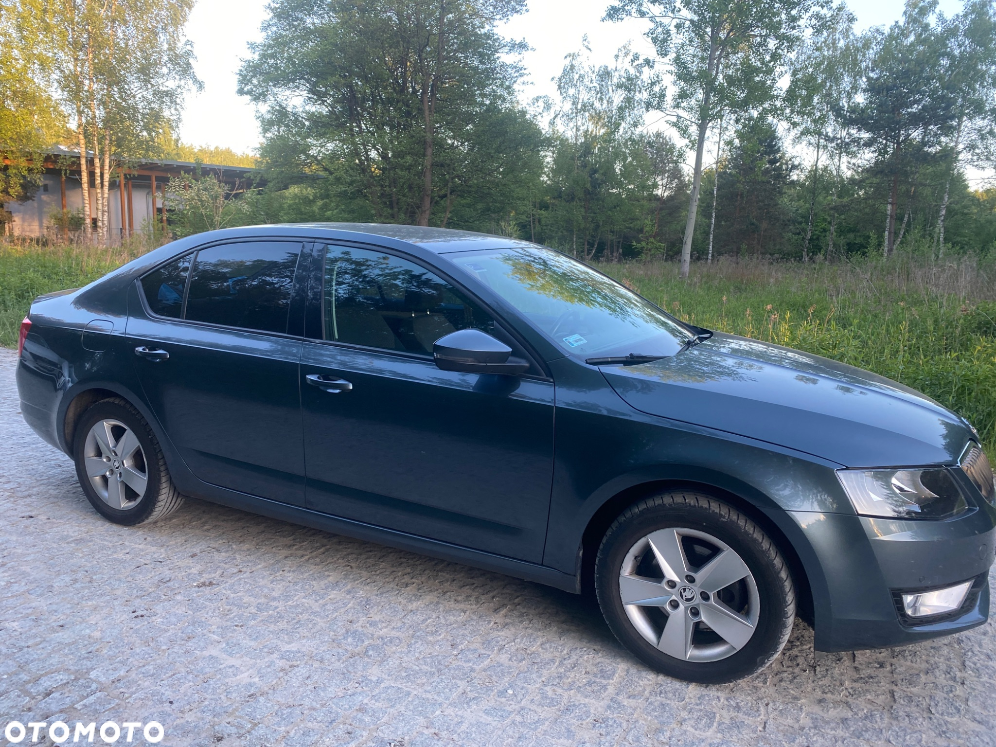 Skoda Octavia 1.4 TSI Ambition - 8