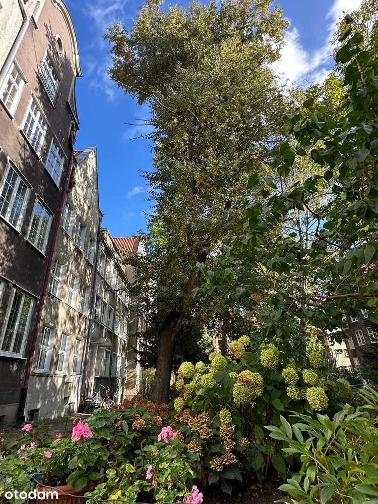 KAMIENICA - PRZY ŻURAWIU - WIDOK NA ZIELEŃ - PRYWATNY PARKING - Pełny obrazek: 5/10