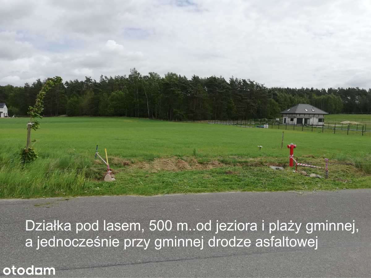 Działka budowlana, pod lasem i blisko jeziora na Pojezierzu Brodnickim - Pełny obrazek: 2/20