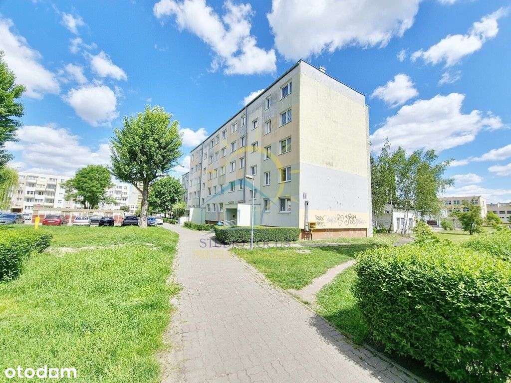 Mieszkanie do własnej aranżacji - 3 pokoje, Rąbin-19