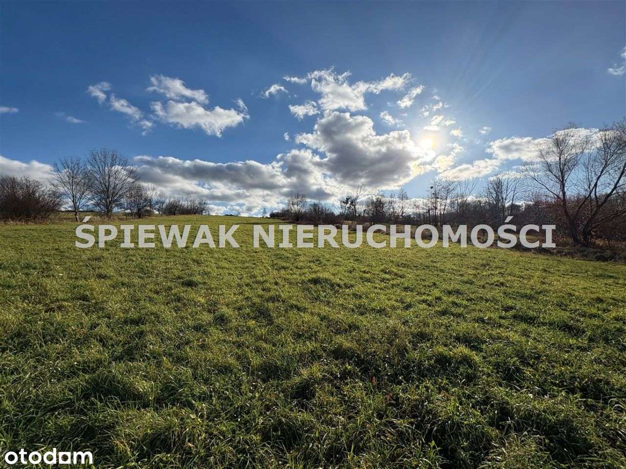 Działka inwestycyjna - logistyka/magazyny/spedycja-3