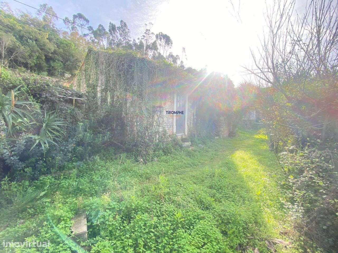 Casa Rústica Srº do Monte Leiria - Grande imagem: 4/21