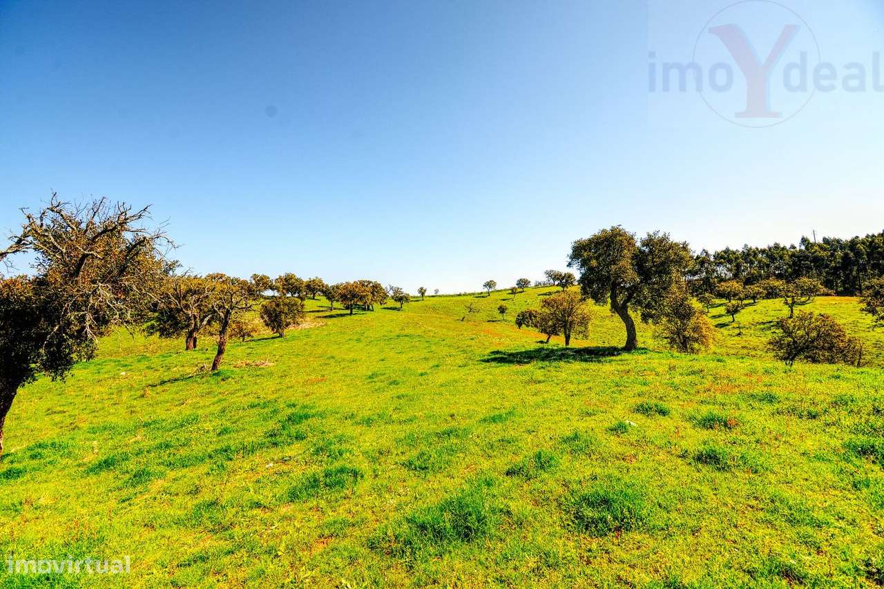 TERRENO EM S.BARTOLOMEU DA SERRA-31