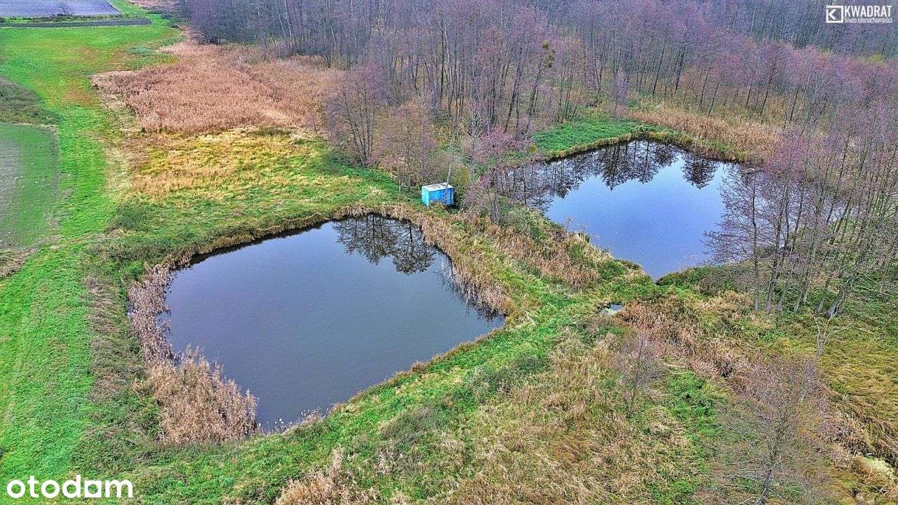 Stawy Rekreacyjne! - Miejsce dla Hobbysty Wędkarst - Pełny obrazek: 4/4