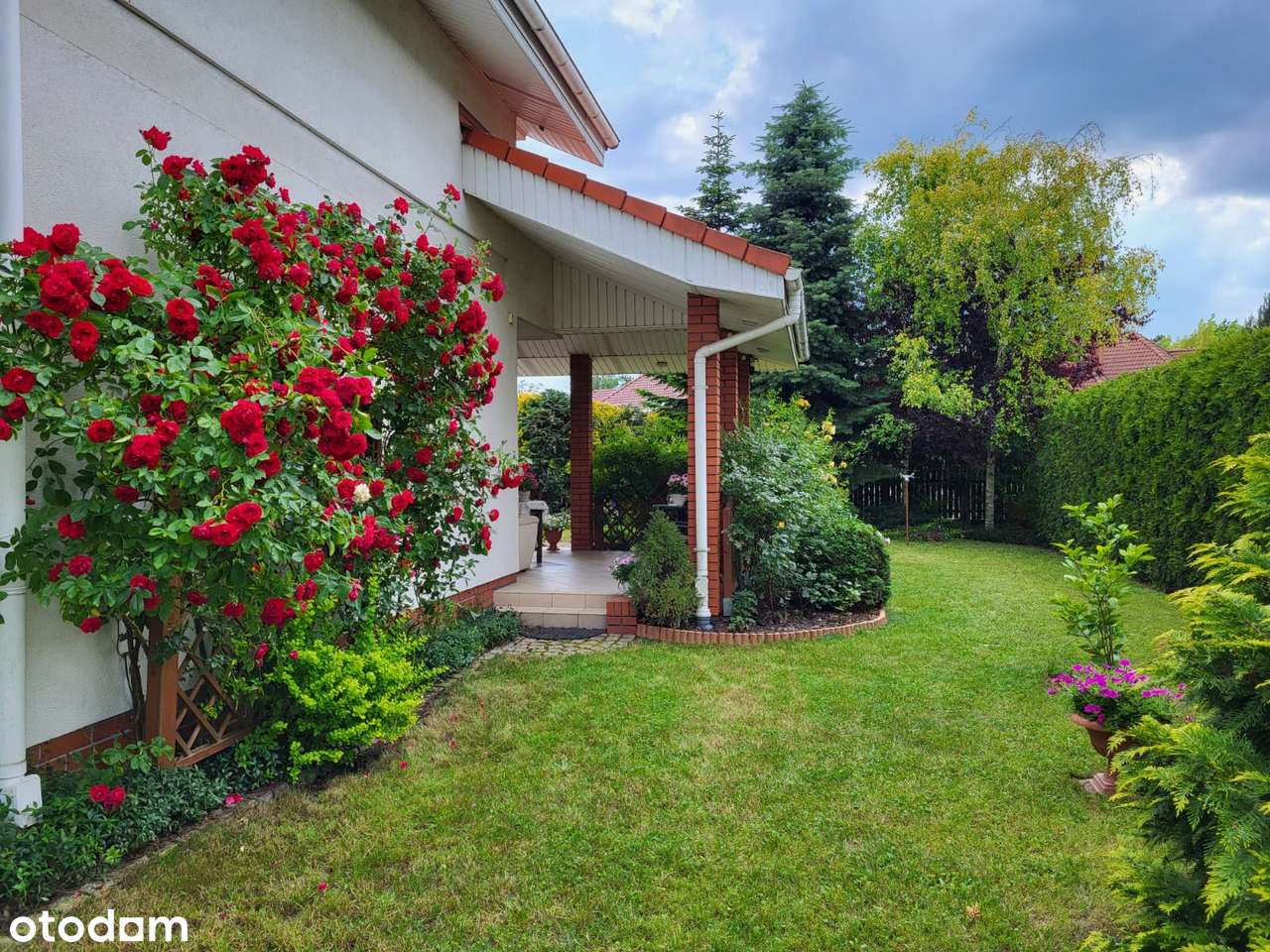 Nowa Atrakcyjna Cena. Dom z pięknie zagospodarowanym ogródkiem - Pełny obrazek: 5/17
