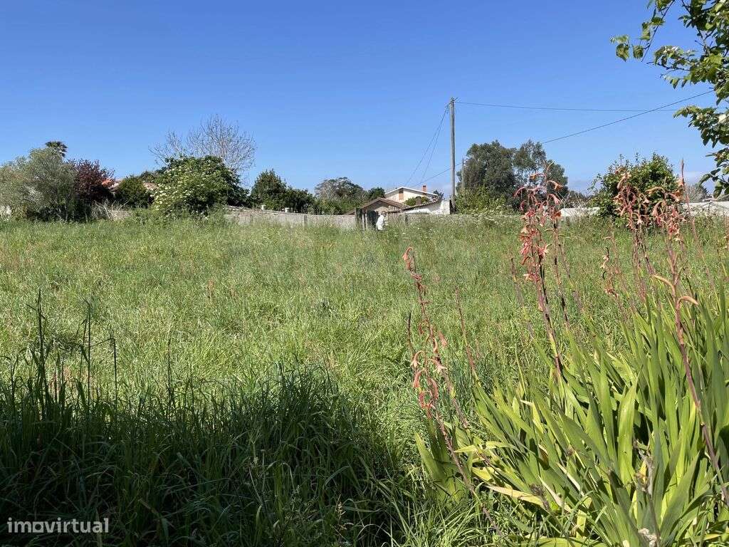 Terreno em São Félix da Matinha - Grande imagem: 4/13