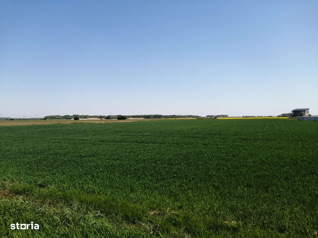 Teren intravilan 5114 mp in comuna 1 Decembrie - Ilfov - Imagine principală: 2/4